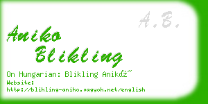 aniko blikling business card